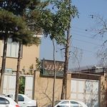 ساتر سبز