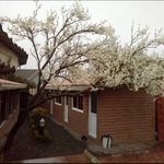 رستوران آق اولر