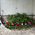 طراحی،نگهداری،اجرا(محوطه سازی روف گاردن)