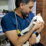 کلینیک دامپزشکی دکتر جولایی