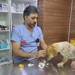 کلینیک دامپزشکی دکتر جولایی