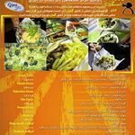 فست فود پینگو دنر