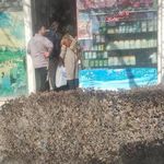 لبنیات صدف اکثیری
