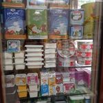 لبنیات صدف اکثیری