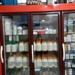 لبنیات صدف اکثیری