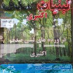 لبنیات صدف اکثیری