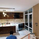 محسن ربیعی دولت ابادی