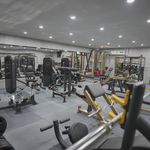 باشگاه ورزشی بانوی تکاور