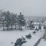 بوستان شیدای اصفهانی شمالی