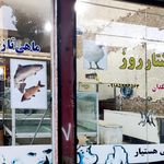 مرغ فروشی مجیدی