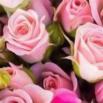 ترمینال سقز   بوکان