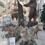 موزه تاریخ علوم اردبیل