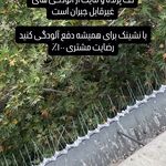 شرکت سمپاشی رپل تک