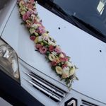 پخش شهر گل