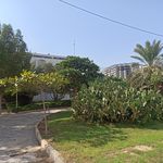 موسسه آموزش عالی قشم