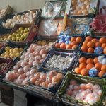 میوه فروشی رزگار