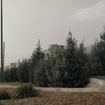 بوستان نسترن