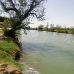 پارک ساحلی زرین شهر