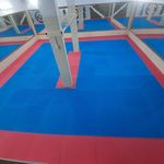 باشگاه رزمی کرمیان