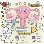 زنان و زایمان و مامایی ساناز سروش