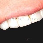 دکتر مونا نوروزی