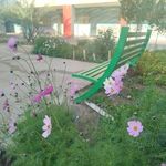 هنرستان هنرجوی شهید مهدی روزبه