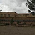 کارخانه پسته