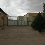 کارخانه پسته