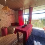 اقامتگاه جنگلی کامیلا