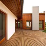 امیر ابراهیمی فردویی