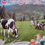 لبنیاتی نورانی