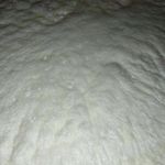 لبنیاتی نورانی