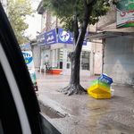 داروخانه شفا