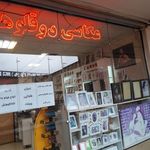 عکاسی دو قلوها