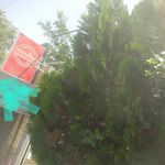 شرکت فرآورده های قنادی نوشمند (سهامی خاص)