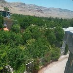 هتل و رستوران یاس سفید