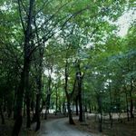 پارک جنگلی هلومسر