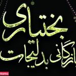 گروه بازرگانی بدلیجات بختیاری