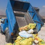 مرتضی مالمیر