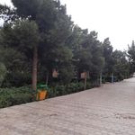 بوستان نسیم