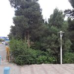 بوستان نسیم