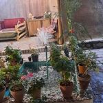 اقامتگاه بوم گردی خاتون