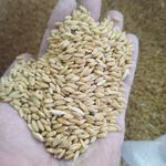ملزومات حیوانات خانگی حقی (پتشاپ)