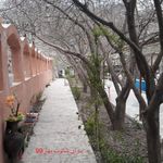 سرای شاتوت خانه مسافر