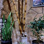 باشگاه بدنسازی آپادانا