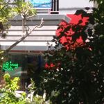 دفتر کفالت ۵۰۹