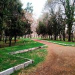 باغ ملی