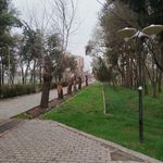 باغ ملی