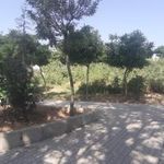 بوستان صلح و دوستی