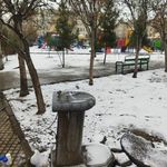 بوستان صلح و دوستی